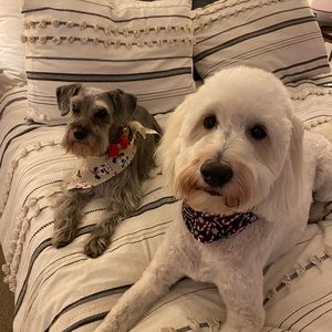 Meet your Posher, Colleen